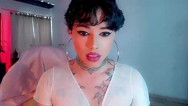 little star porn online show from February 2025 04:14:02 PM