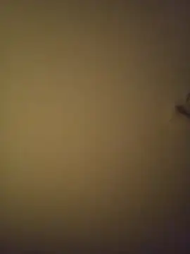 SMOKERBEASTBR online show from February 2026 06:17:01 AM