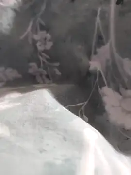 Snapshot of Elixire1 chatting on January 2026 04:32:02 PM Elixire1 online show from January 2026 04:32:02 PM