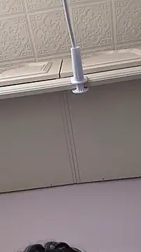 Snapshot of Elixire1 chatting on February 2026 11:42:02 AM Elixire1 online show from February 2026 11:42:02 AM