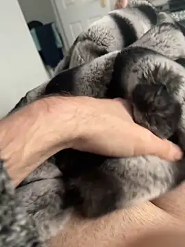 Snapshot of Furdale chatting on December 2024 12:40:02 PM Furdale online show from December 2024 12:40:02 PM