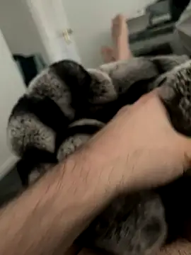 Snapshot of Furdale chatting on December 2024 11:33:01 AM Furdale online show from December 2024 11:33:01 AM