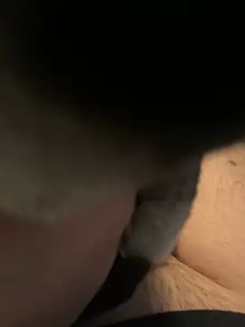 Snapshot of Furdale chatting on December 2024 01:11:02 PM Furdale online show from December 2024 01:11:02 PM