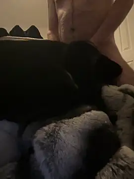 Snapshot of Furdale chatting on December 2024 03:35:01 PM Furdale online show from December 2024 03:35:01 PM