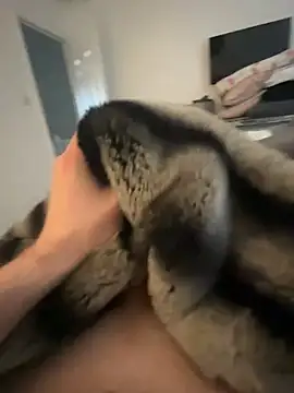 Snapshot of Furdale chatting on February 2025 09:46:01 AM Furdale online show from February 2025 09:46:01 AM