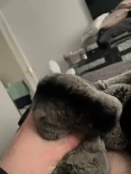 Snapshot of Furdale chatting on February 2025 01:55:01 PM Furdale online show from February 2025 01:55:01 PM