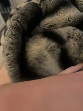 Snapshot of Furdale chatting on February 2025 03:09:02 PM Furdale online show from February 2025 03:09:02 PM