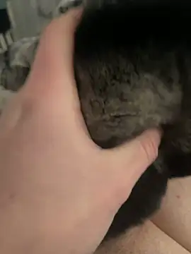 Snapshot of Furdale chatting on February 2025 01:21:01 PM Furdale online show from February 2025 01:21:01 PM