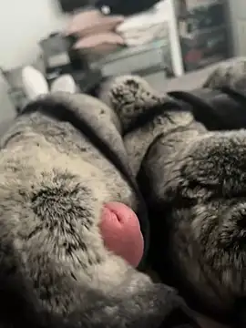 Snapshot of Furdale chatting on February 2025 12:58:01 PM Furdale online show from February 2025 12:58:01 PM