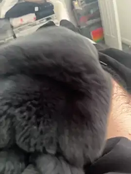 Snapshot of Furdale chatting on March 2025 11:12:02 AM Furdale online show from March 2025 11:12:02 AM