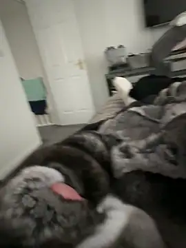 Snapshot of Furdale chatting on September 2025 04:20:01 PM Furdale online show from September 2025 04:20:01 PM