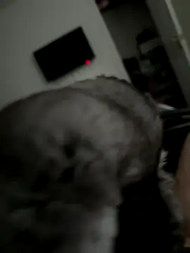 Snapshot of Furdale chatting on October 2025 03:30:01 PM Furdale online show from October 2025 03:30:01 PM