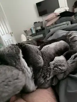 Snapshot of Furdale chatting on October 2025 02:18:01 PM Furdale online show from October 2025 02:18:01 PM