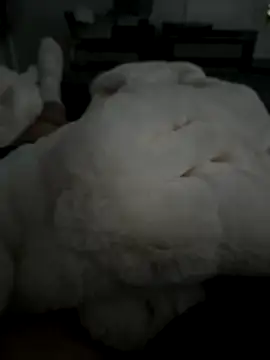 Snapshot of Furdale chatting on November 2025 02:50:01 PM Furdale online show from November 2025 02:50:01 PM