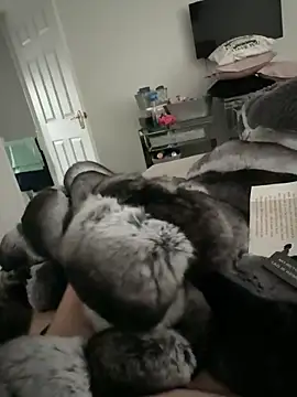 Snapshot of Furdale chatting on November 2025 02:49:01 PM Furdale online show from November 2025 02:49:01 PM