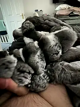 Snapshot of Furdale chatting on November 2025 01:29:02 PM Furdale online show from November 2025 01:29:02 PM