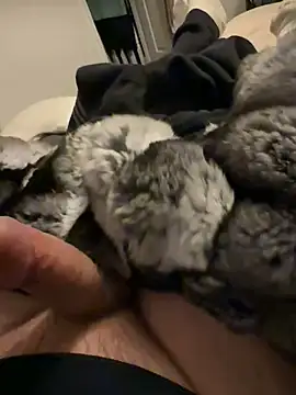 Furdale online show from February 2026 06:35:01 PM