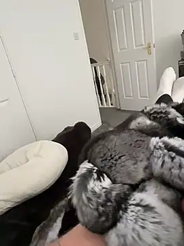 Furdale online show from March 2026 02:20:01 PM