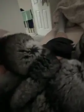 Furdale online show from April 2026 11:04:02 AM