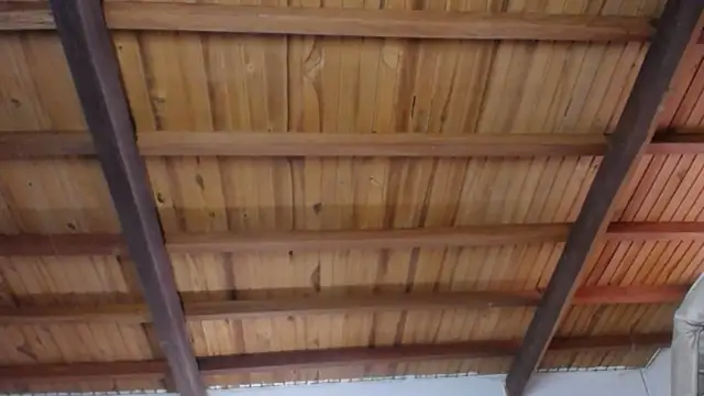 Nicolle Milf online show from December 2025 06:48:02 PM