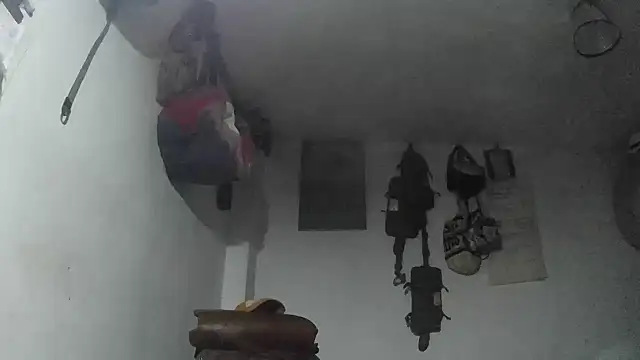 crazylatinguyy online show from December 2025 10:29:02 PM