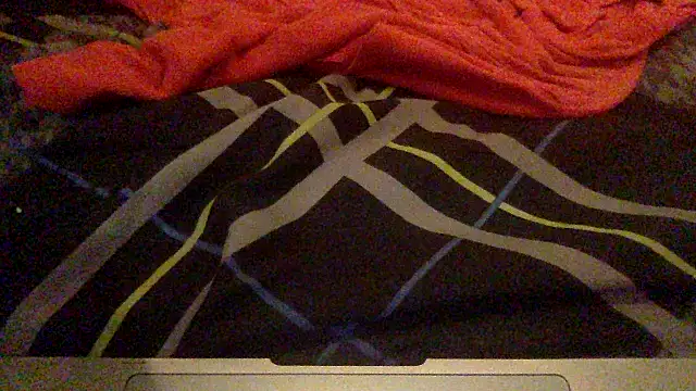 BBCforfur online show from February 2025 07:04:02 AM