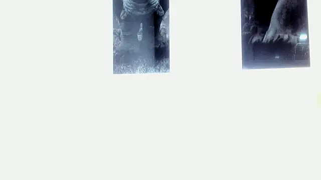 Snapshot of AlexRivera6 chatting on March 2025 11:43:02 PM AlexRivera6 online show from March 2025 11:43:02 PM