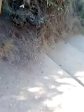 rodovlaz online show from March 2026 01:07:02 PM