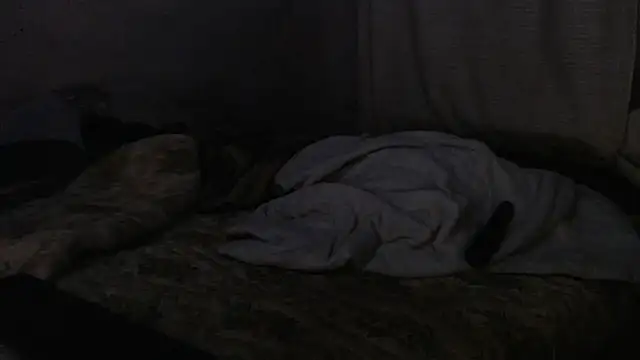 devine TATAS online show from September 2025 07:26:01 PM