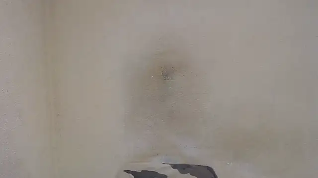 AlexNudo online show from December 2024 12:46:02 PM