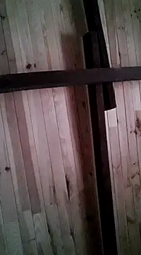 Snapshot of davigochi77bcn chatting on March 2025 11:20:01 PM davigochi77bcn online show from March 2025 11:20:01 PM