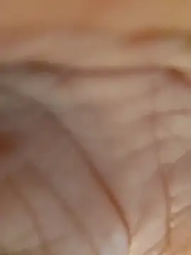 real007fun online show from March 2026 09:33:02 AM