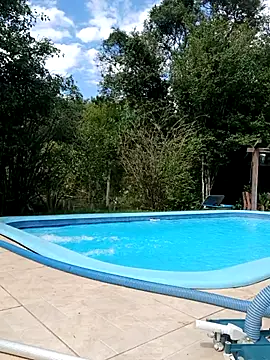 dutra498 online show from April 2026 04:08:01 PM