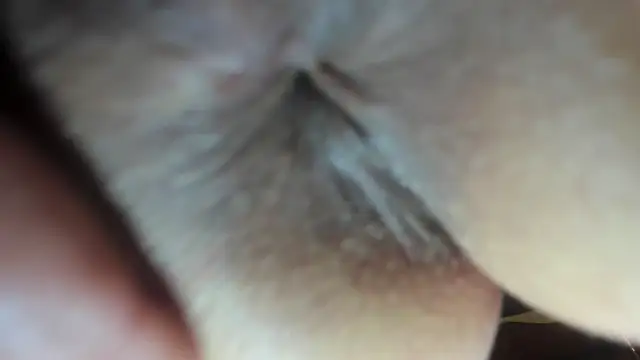 Snapshot of FrumCake chatting on December 2024 03:47:01 AM FrumCake online show from December 2024 03:47:01 AM