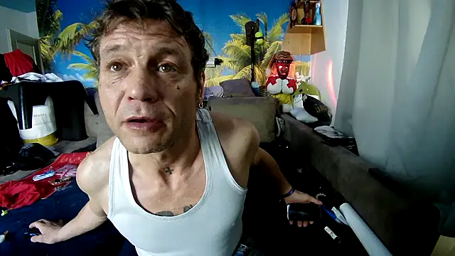 druckfug online show from December 2025 11:19:01 AM