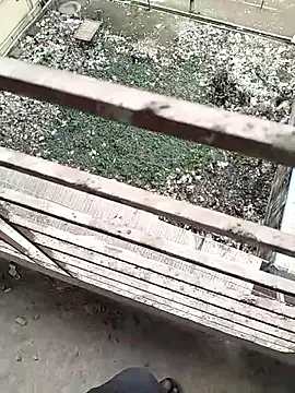 chittagong77 online show from February 2026 09:52:01 AM