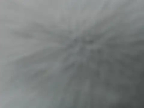 Lauren baby online show from December 2025 11:21:01 PM