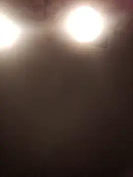 lilianashemale online show from November 2025 03:08:02 AM