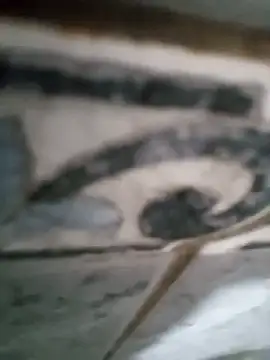 Junior013R online show from September 2025 07:15:02 PM