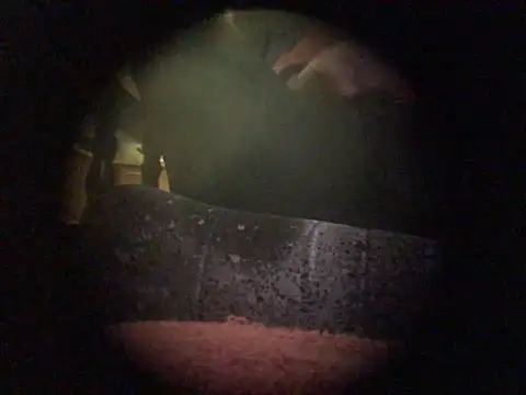 translove online show from December 2024 07:50:02 PM