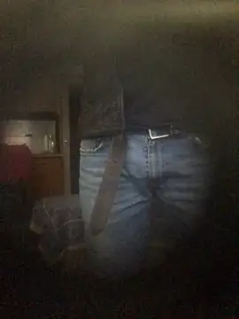 translove online show from December 2024 01:43:02 PM