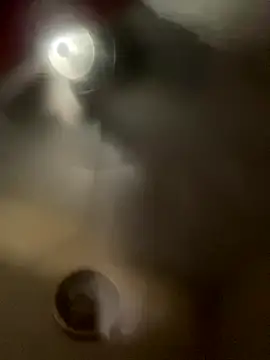 BIG-CkD F online show from December 2024 06:43:01 PM