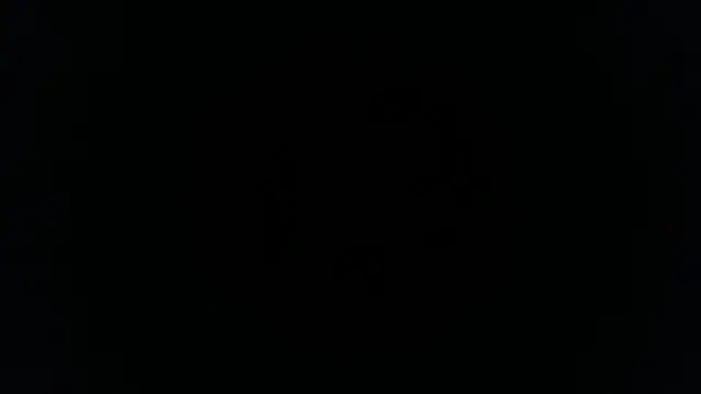 palidin1 online show from November 2025 01:17:01 AM