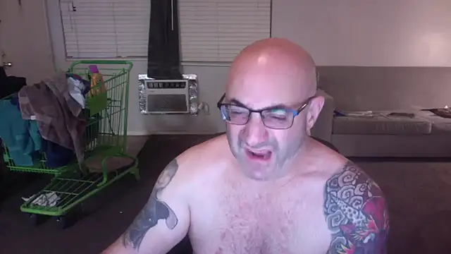 palidin1 online show from November 2025 01:23:01 PM