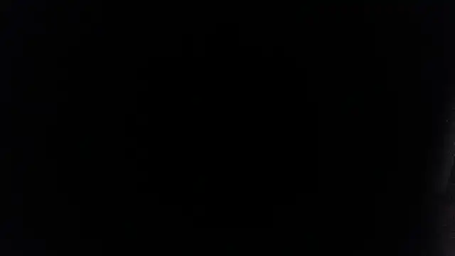 palidin1 online show from July 2026 01:52:01 AM