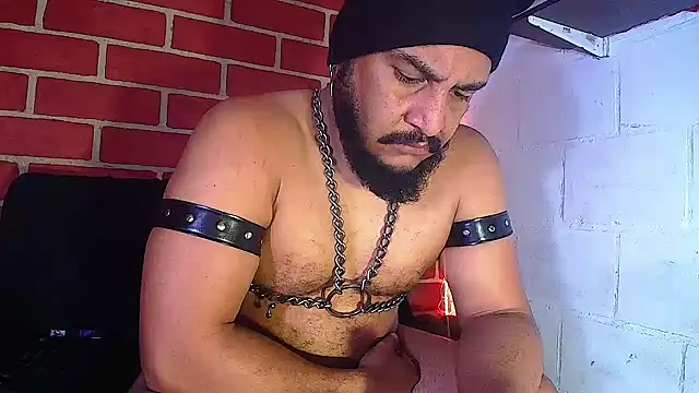 the master foal  online show from January 2025 05:01:01 PM