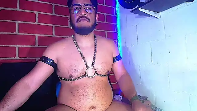 the master foal  online show from January 2025 11:38:02 AM