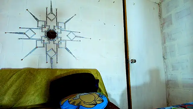 the master foal  online show from December 2025 01:29:01 PM