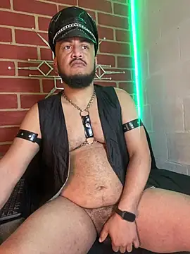 the master foal  online show from February 2026 03:27:02 PM