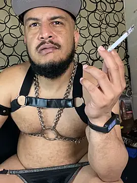 the master foal  online show from March 2026 10:01:01 AM